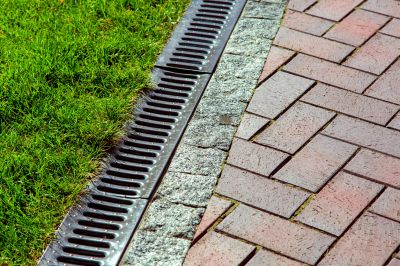 Preserve the Health of Your Plants with Yard Drainage Service!